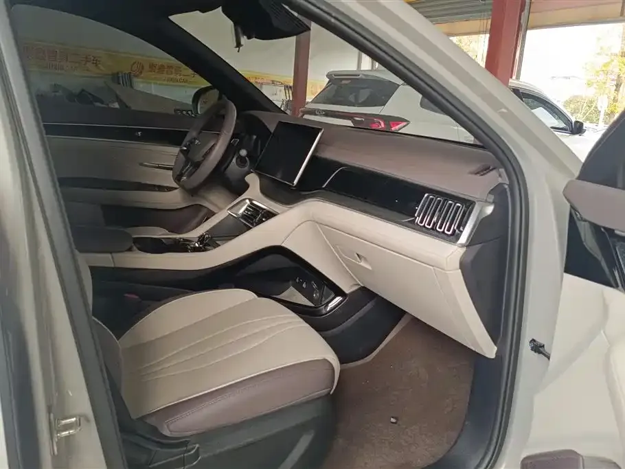BYD PLUS New Energy 2025 из CN, фото 5