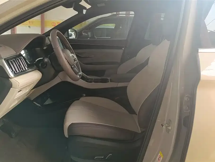 BYD PLUS New Energy 2025 из CN, фото 4