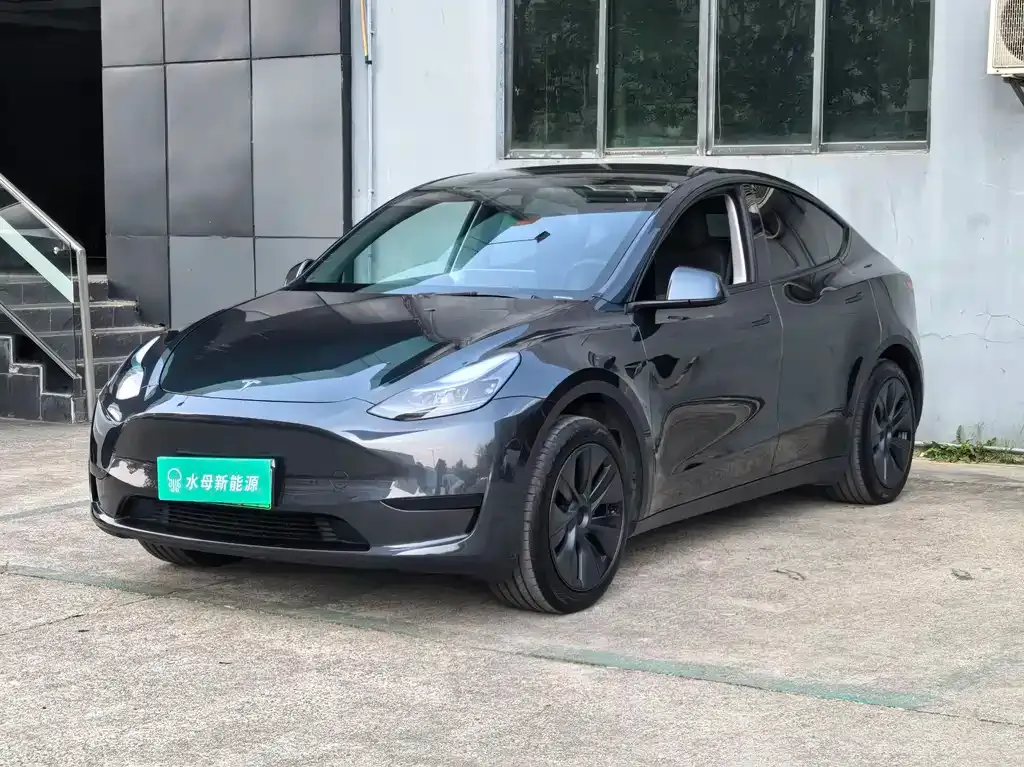 Tesla Model Y 2025 из CN, фото 1