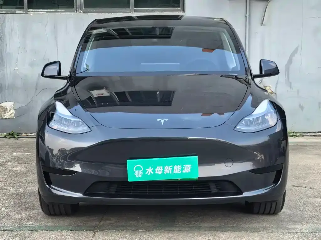 Tesla Model Y 2025 из CN, фото 8
