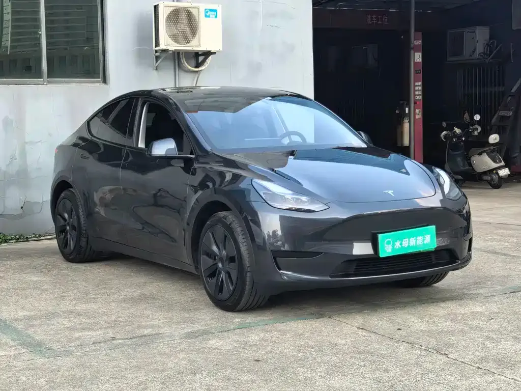 Tesla Model Y 2025 из CN, фото 2
