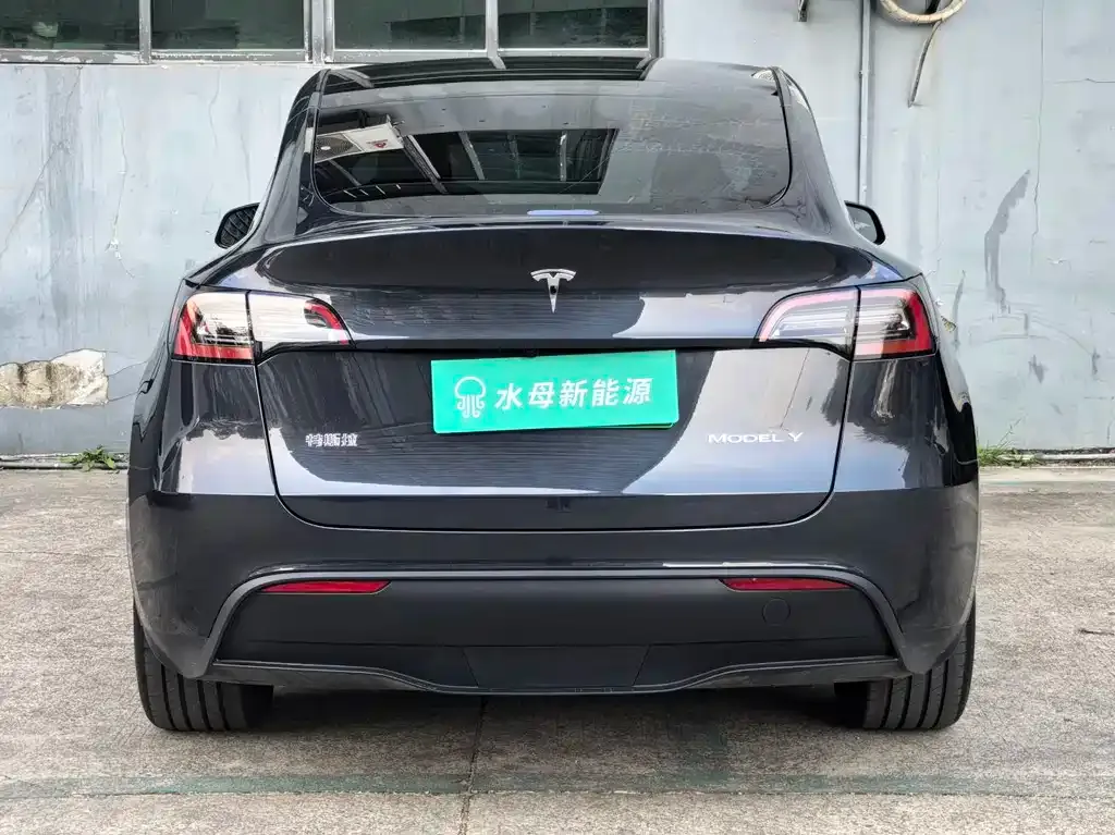 Tesla Model Y 2025 из CN, фото 3