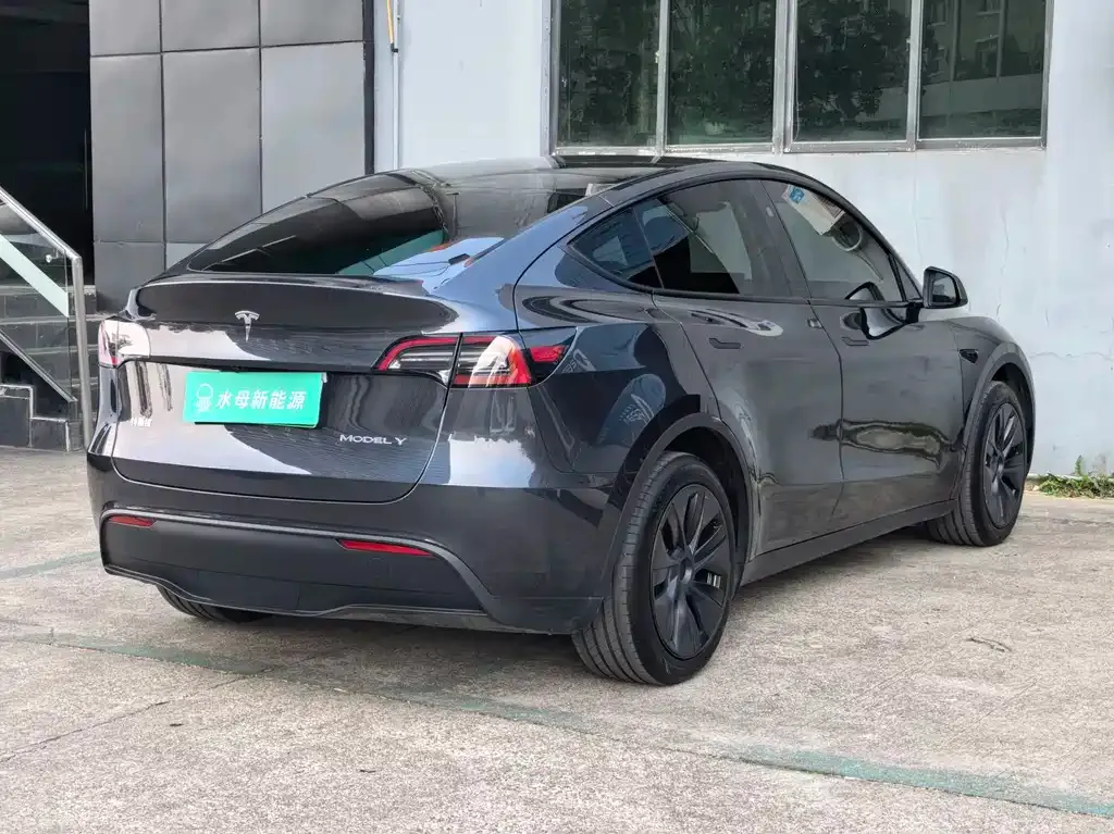 Tesla Model Y 2025 из CN, фото 9