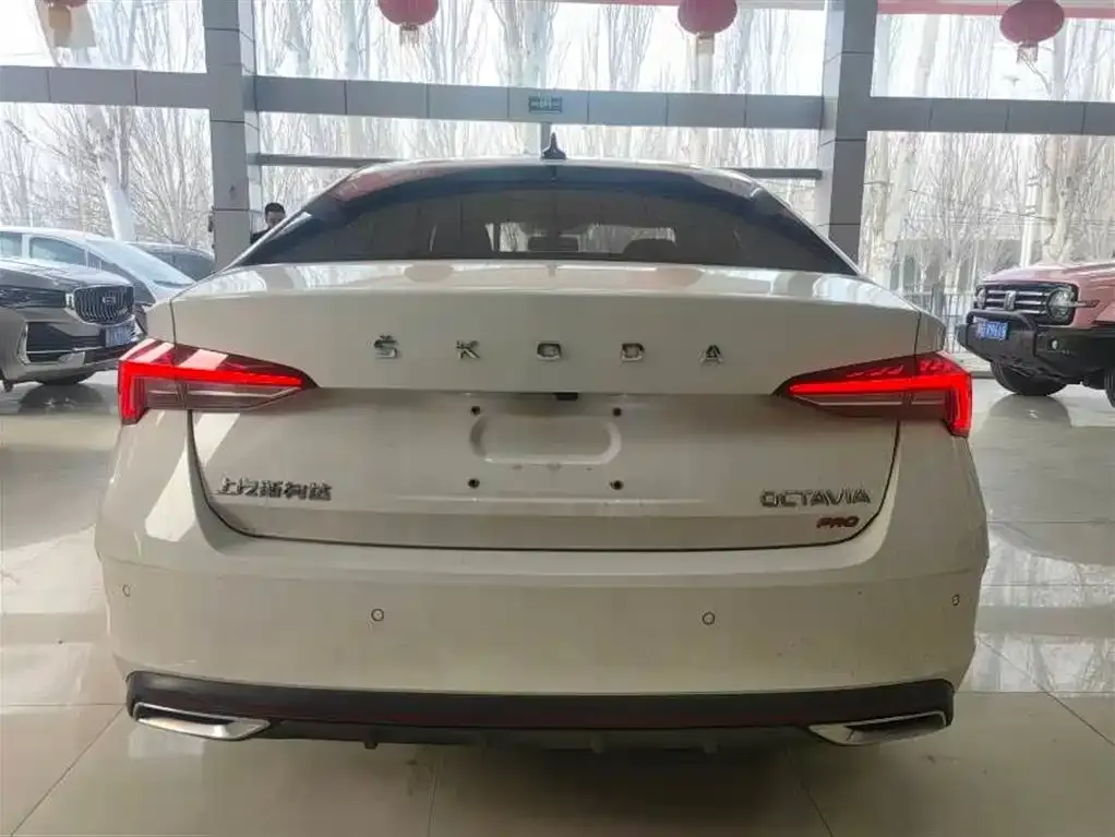 Skoda Octavia 2022 из CN, фото 7