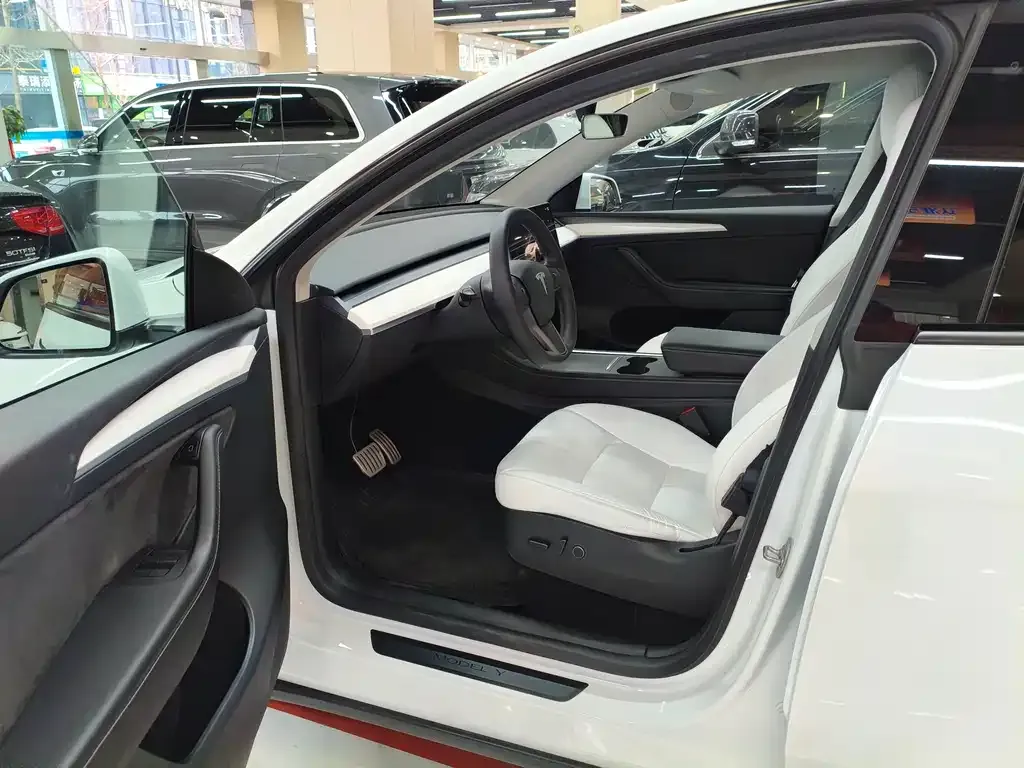 Tesla Model Y — фото 9