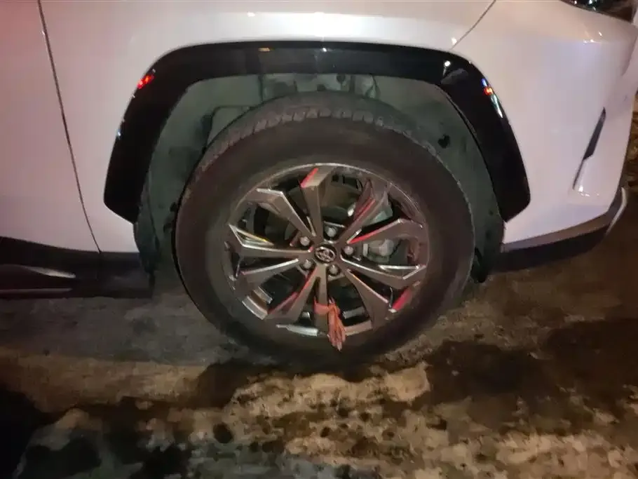 Toyota RAV4 2024 из CN, фото 3