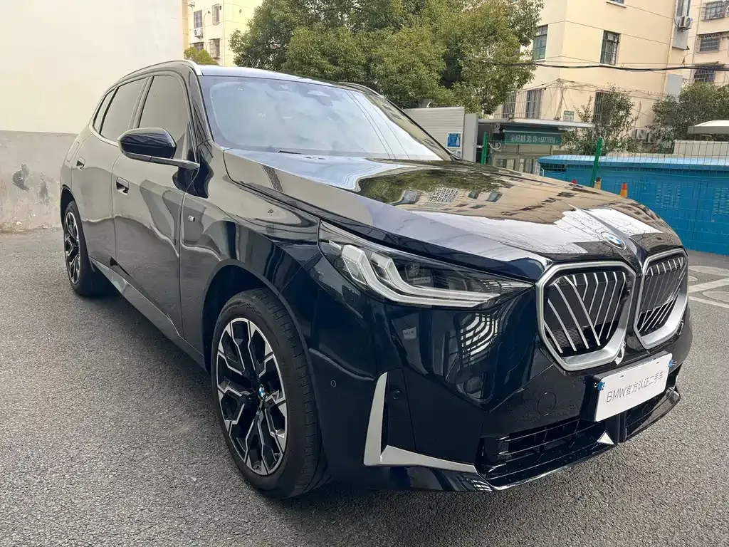 BMW X3 2025 из CN, фото 8
