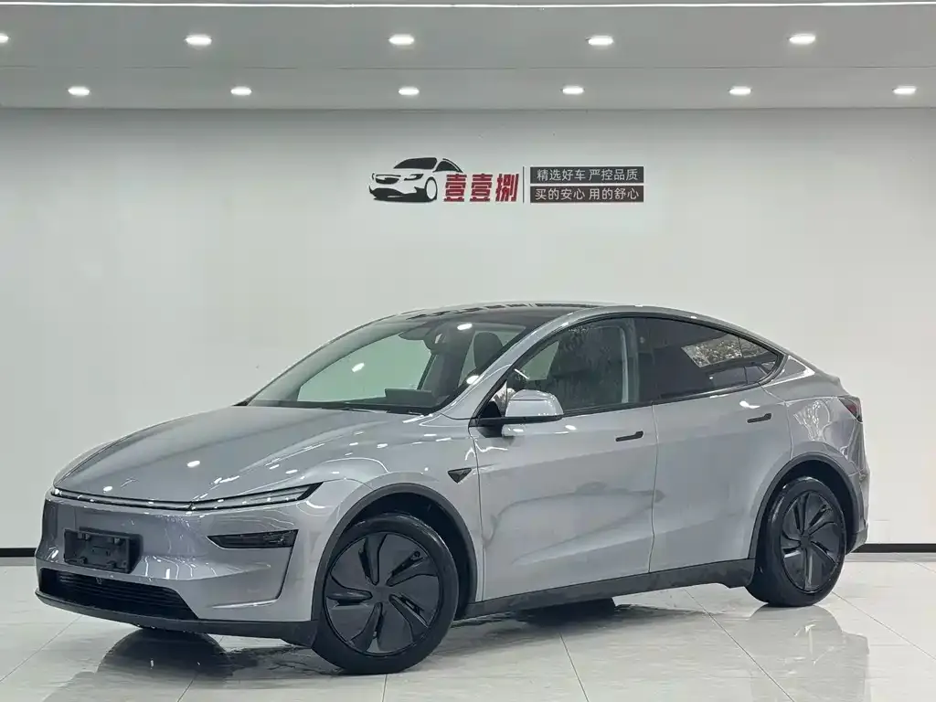 Tesla Model Y 2025 из CN, фото 1