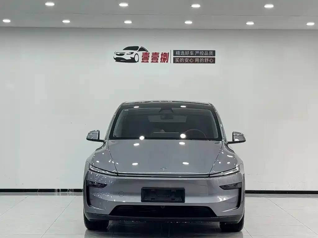 Tesla Model Y 2025 из CN, фото 2