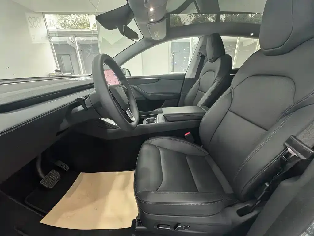 Tesla Model Y 2025 из CN, фото 4
