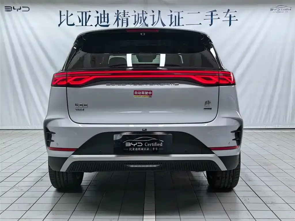 BYD Tang New Energy 2025 из CN, фото 6