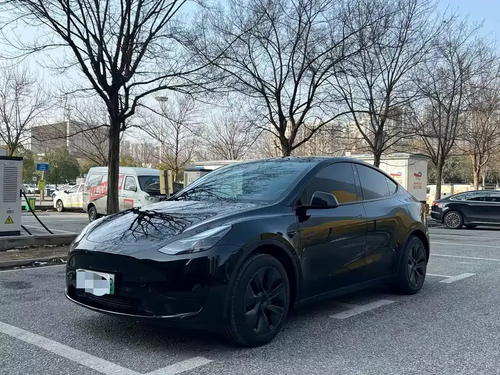Tesla Model Y 2024 из CN, фото 1
