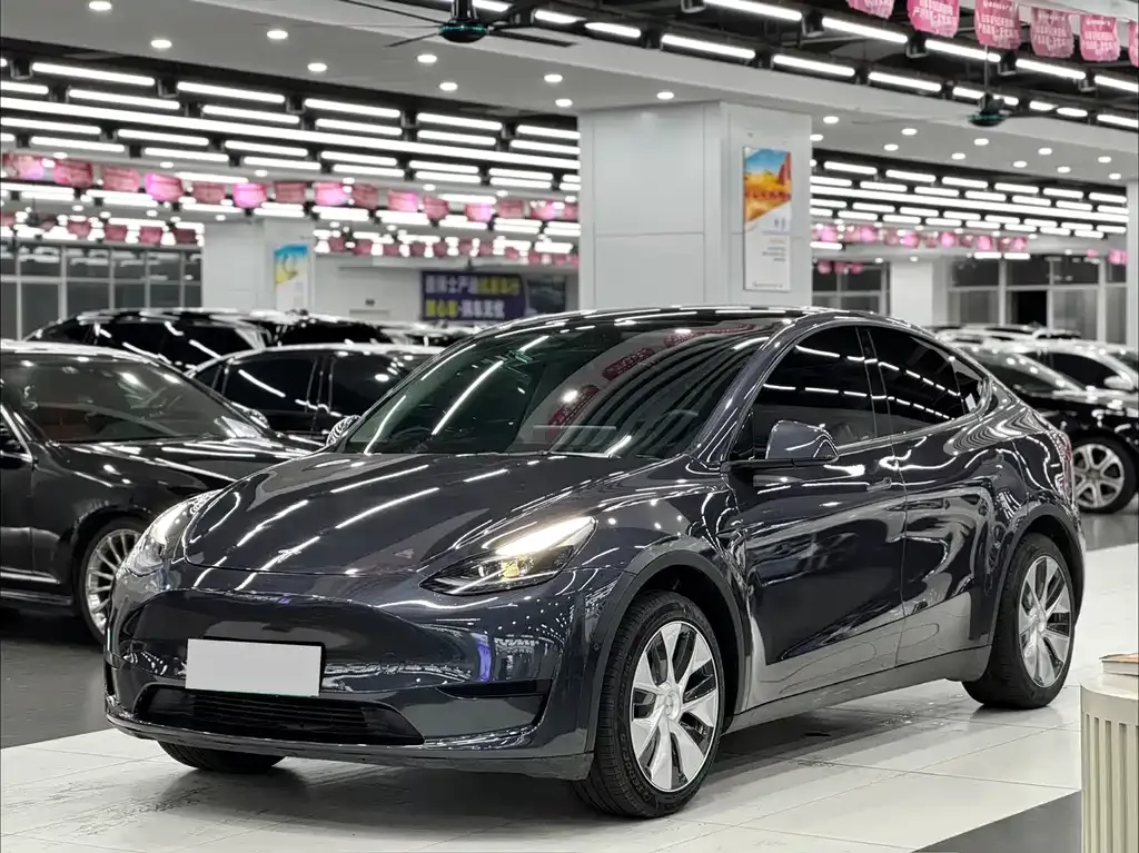 Tesla Model Y — фото 1