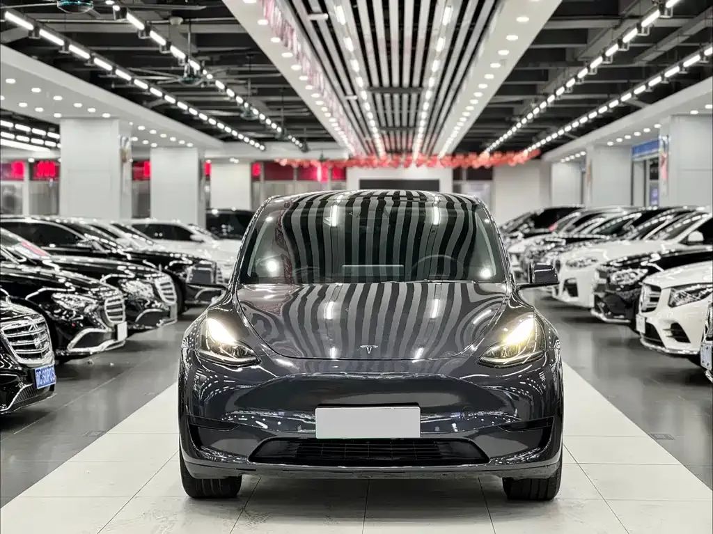 Tesla Model Y — фото 10