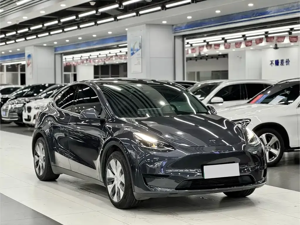 Tesla Model Y — фото 6