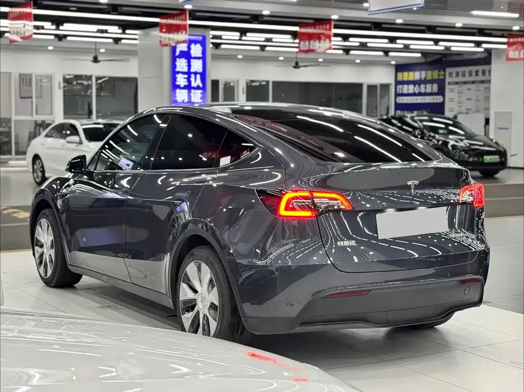 Tesla Model Y — фото 2