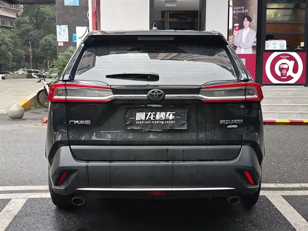 Toyota Wildlander 2022 из CN, фото 9
