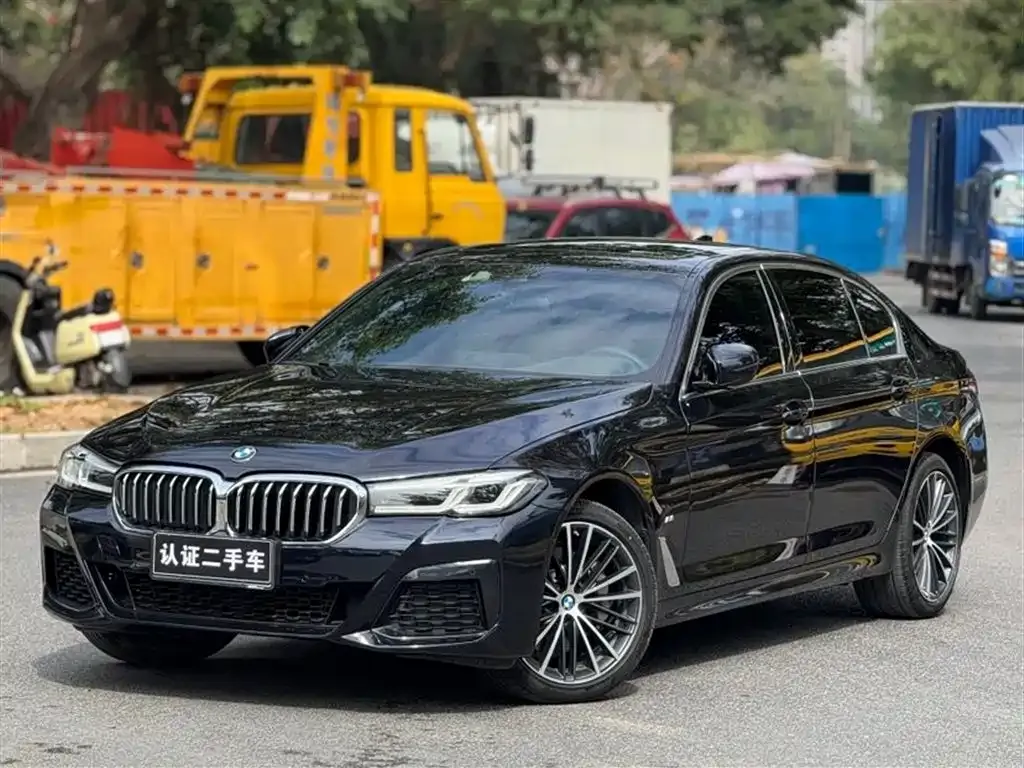 BMW 5 Series 2024 из CN, фото 1