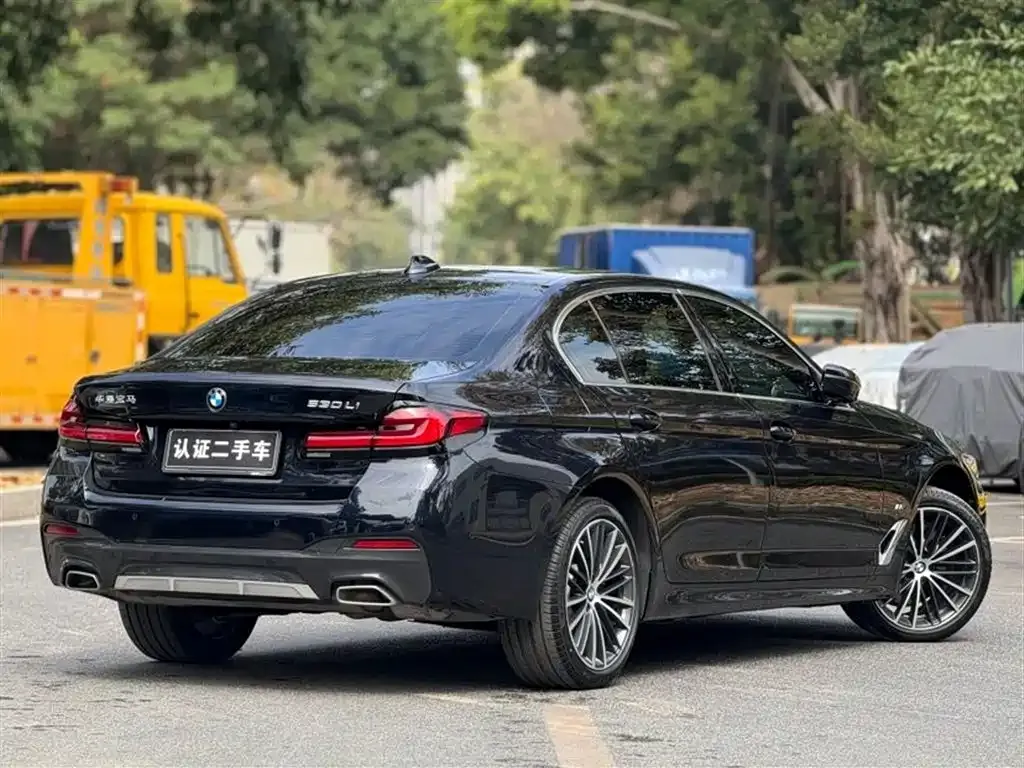 BMW 5 Series 2024 из CN, фото 7