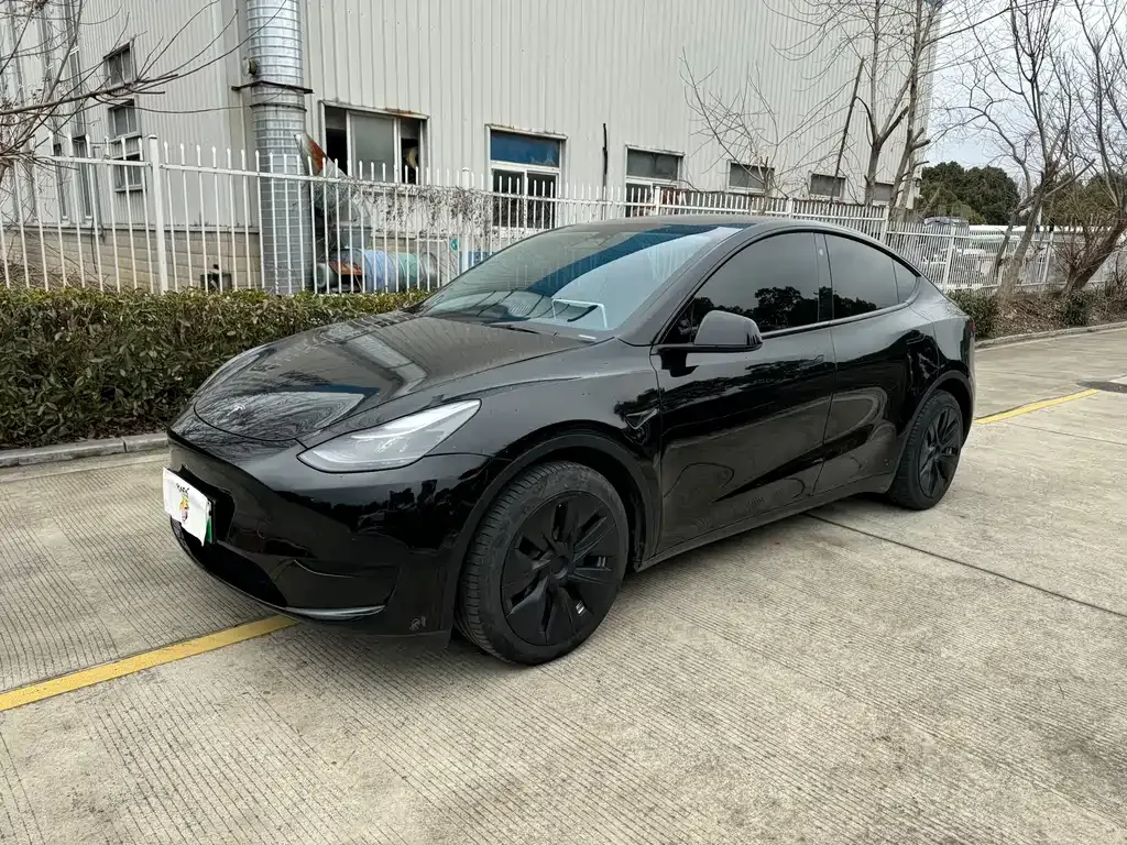 Tesla Model Y — фото 1