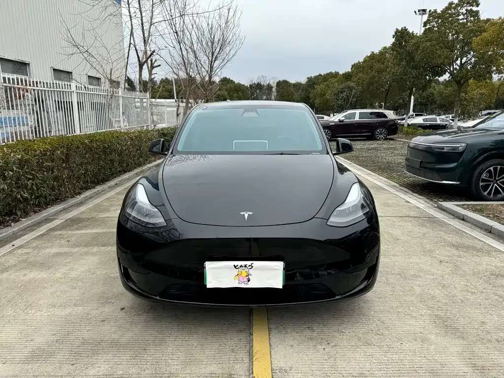 Tesla Model Y — фото 9