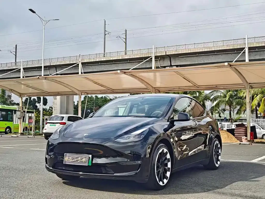 Tesla Model Y — фото 1