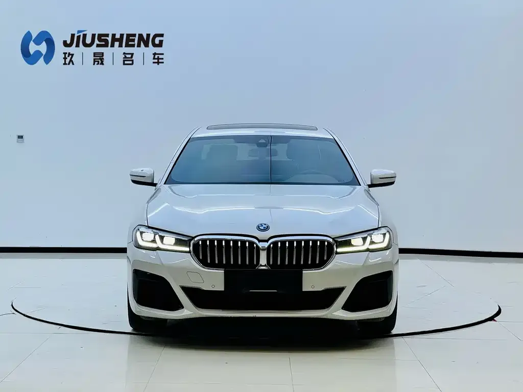 BMW 5 Series New Energy 2022 из CN, фото 9