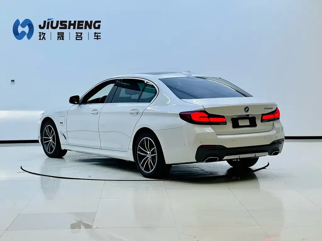 BMW 5 Series New Energy 2022 из CN, фото 10