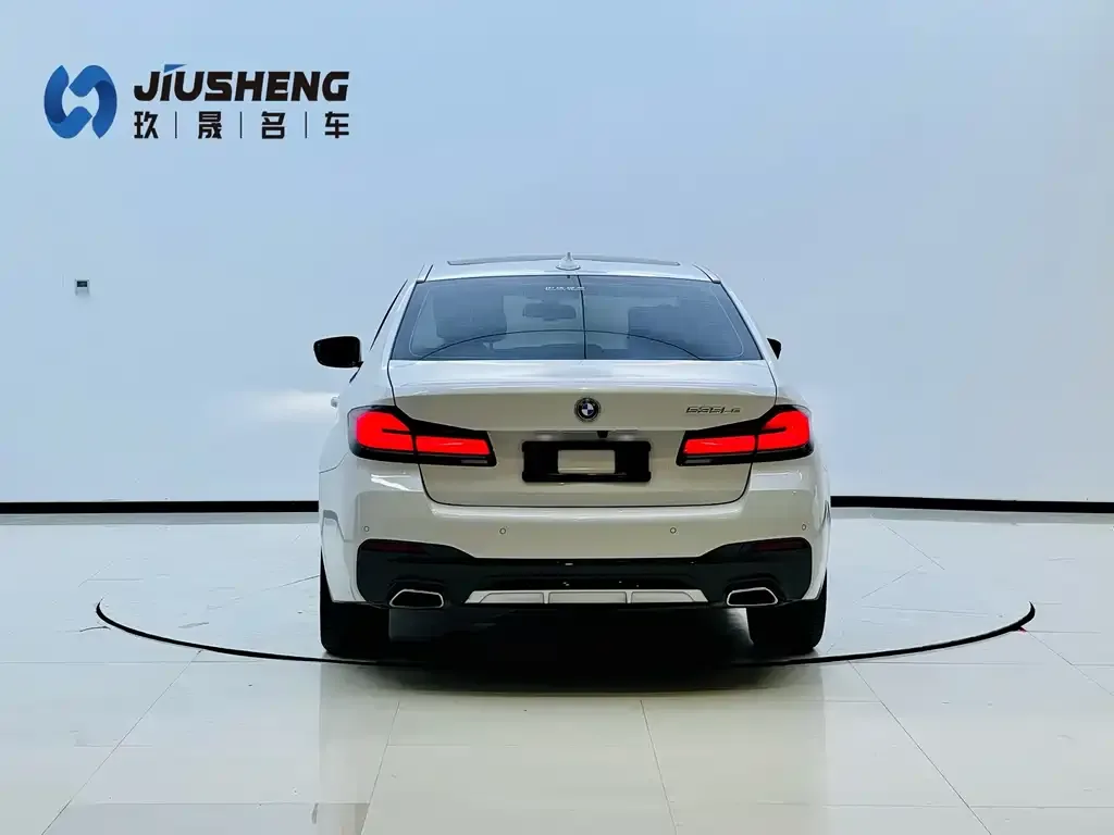 BMW 5 Series New Energy 2022 из CN, фото 4