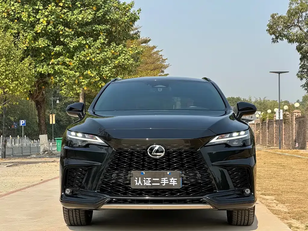 Lexus RX 2023 из CN, фото 4