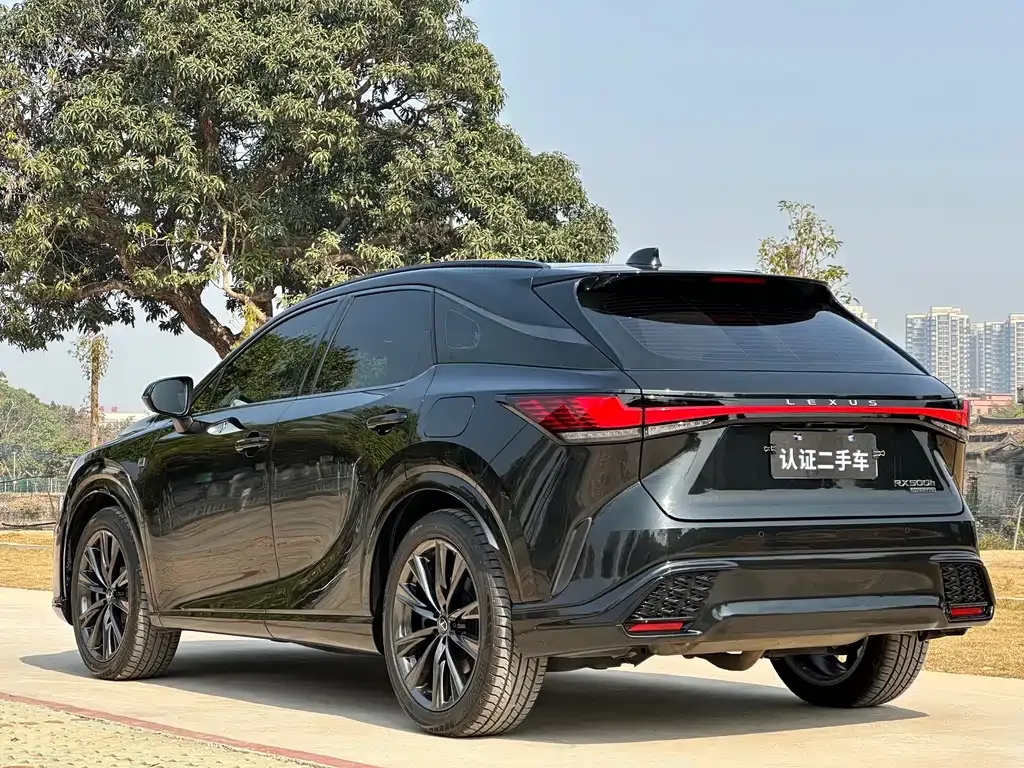 Lexus RX 2023 из CN, фото 10