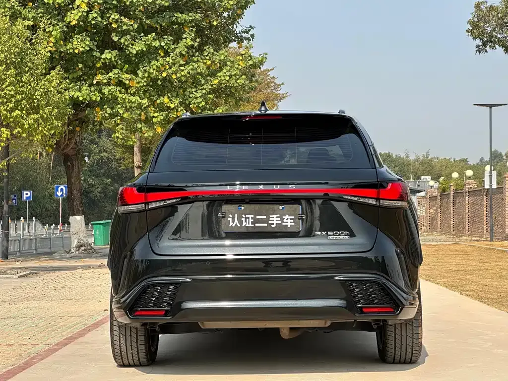 Lexus RX 2023 из CN, фото 5