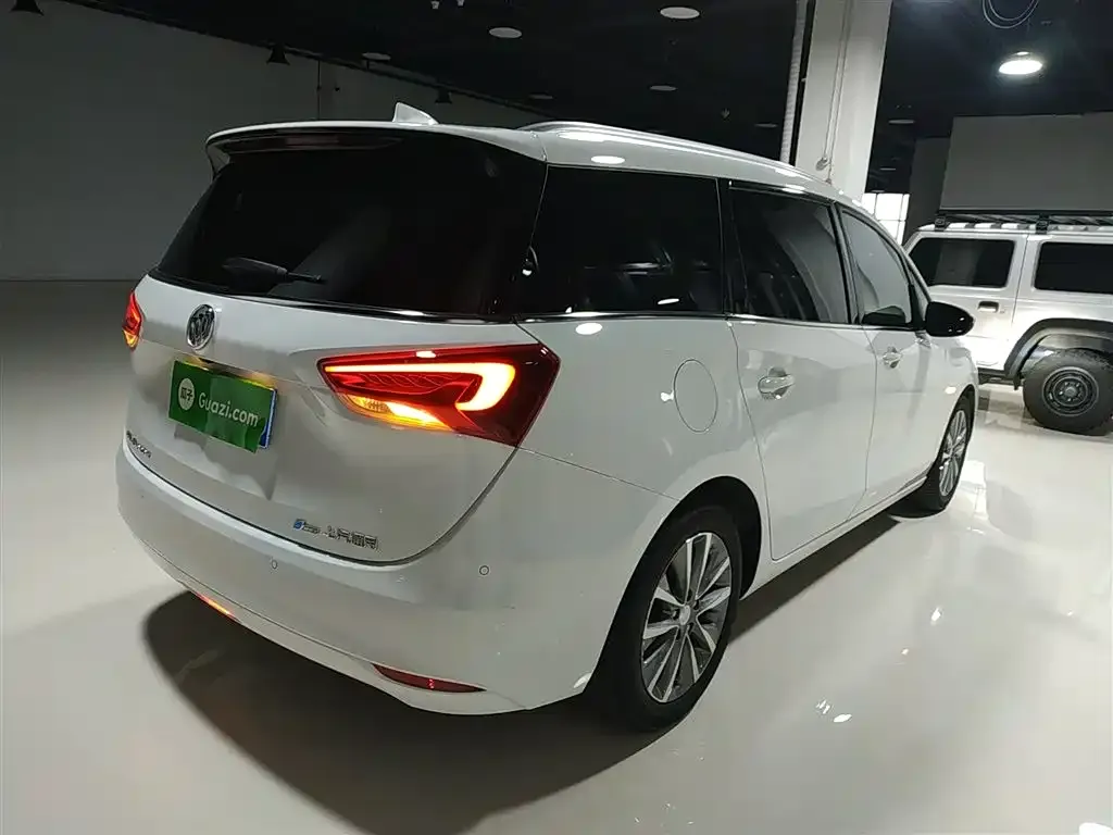 Buick GL6 2023 из CN, фото 8