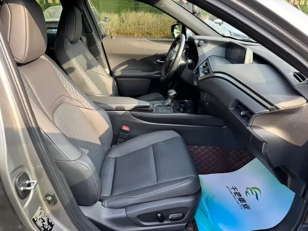 Lexus UX 2022 из CN, фото 10