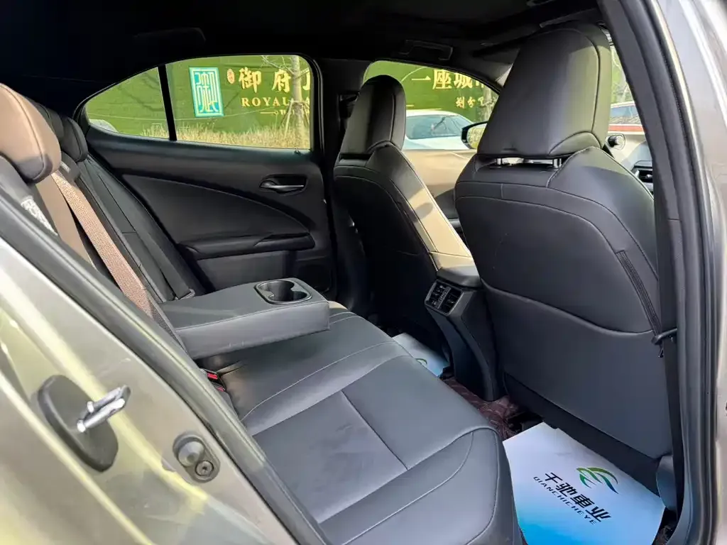 Lexus UX 2022 из CN, фото 6