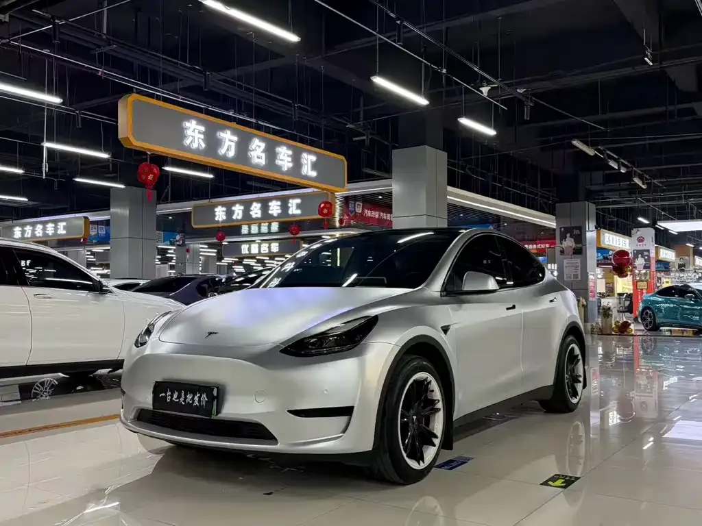 Tesla Model Y — фото 1