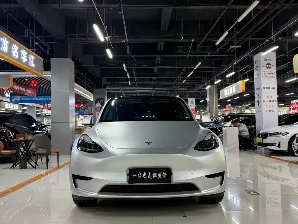 Tesla Model Y — фото 6