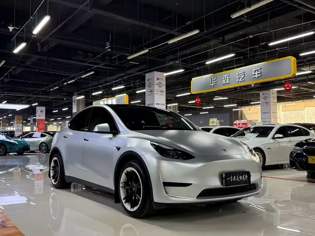 Tesla Model Y — фото 2