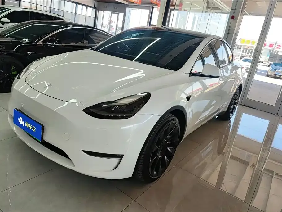 Tesla Model Y 2021 из CN, фото 1