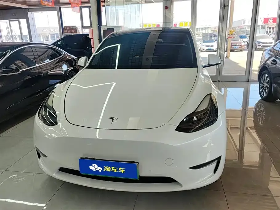 Tesla Model Y 2021 из CN, фото 2