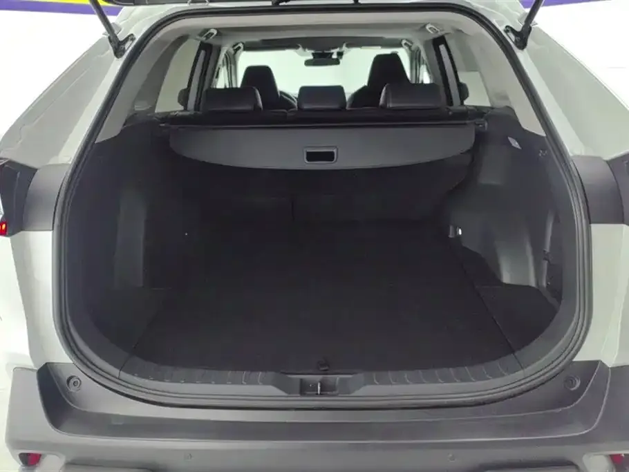 Toyota Wildlander 2022 из CN, фото 9
