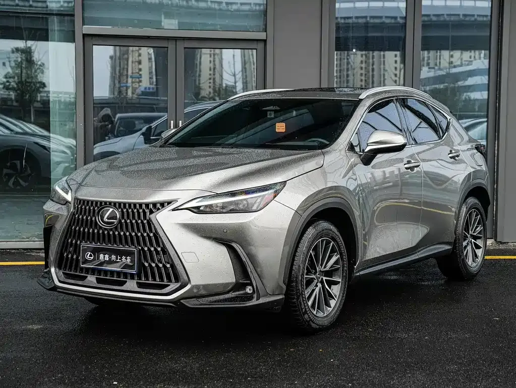 Lexus NX 2024 из CN, фото 1