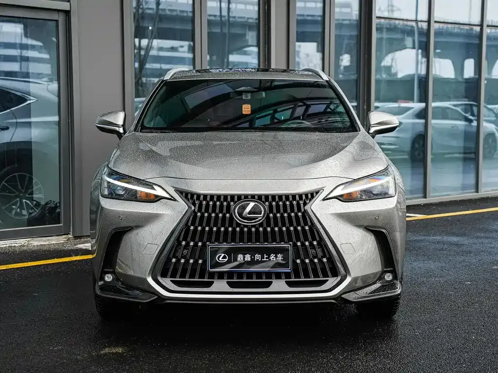 Lexus NX 2024 из CN, фото 7