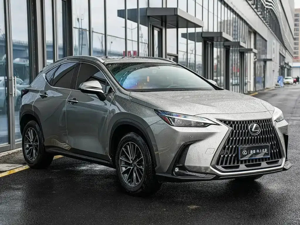 Lexus NX 2024 из CN, фото 5