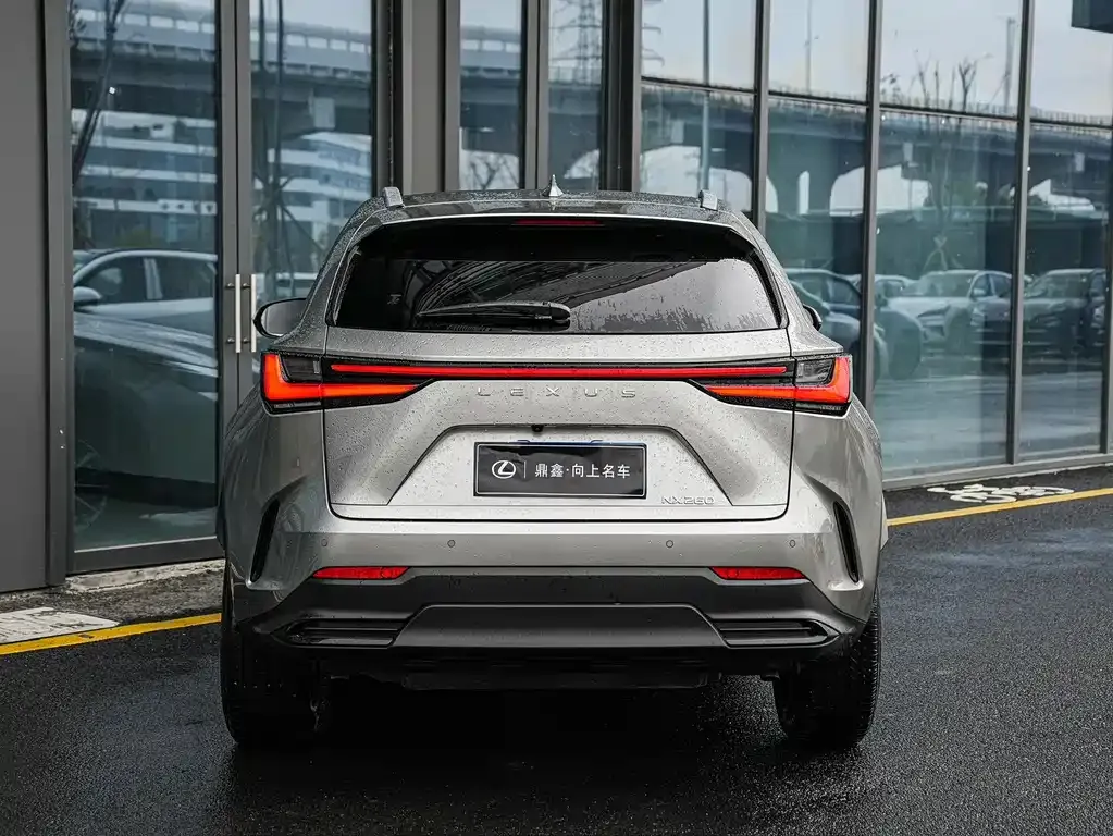 Lexus NX 2024 из CN, фото 8