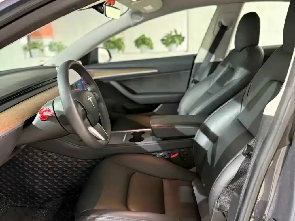 Tesla Model 3 2021 из CN, фото 10