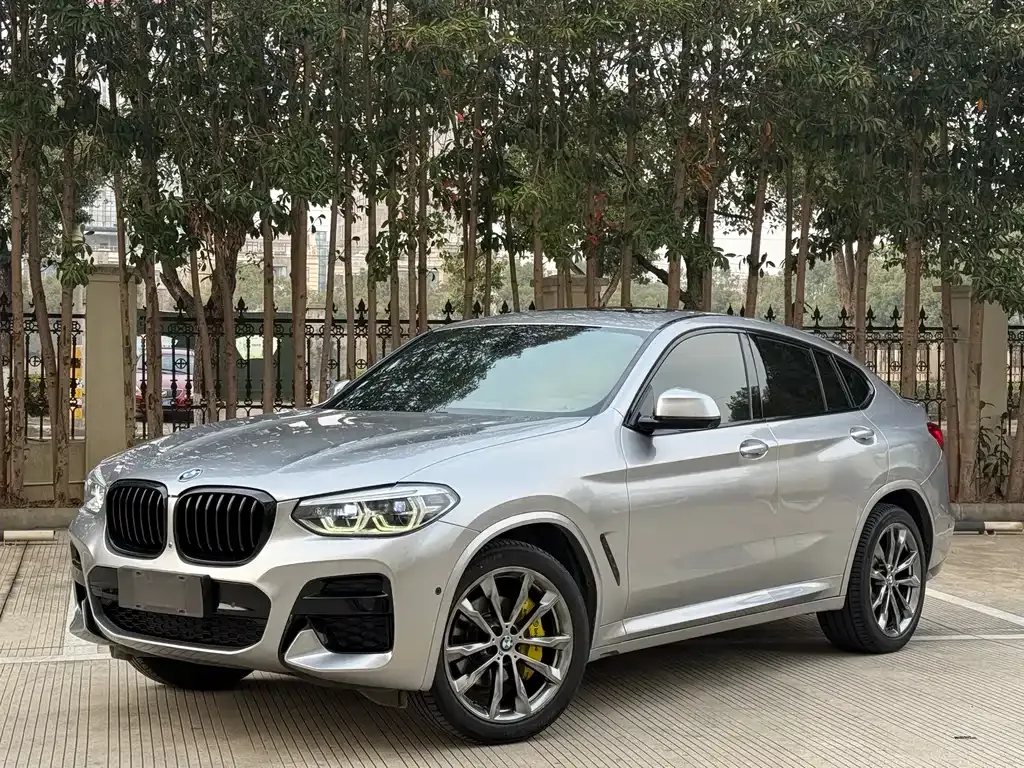 BMW X4 2021 из CN, фото 1