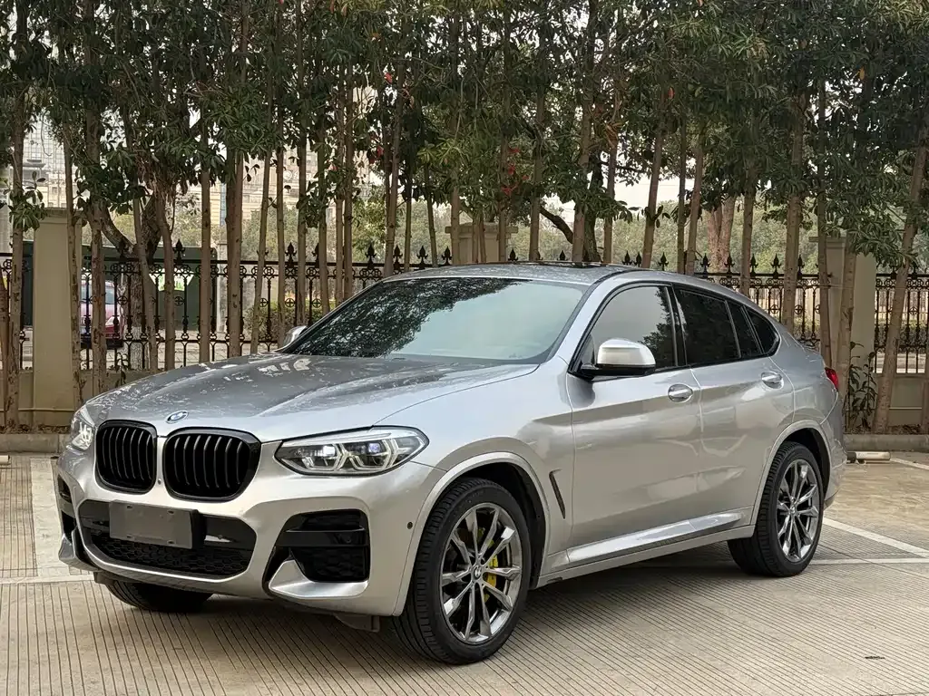 BMW X4 2021 из CN, фото 3