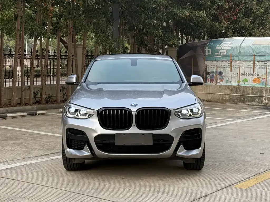 BMW X4 2021 из CN, фото 10