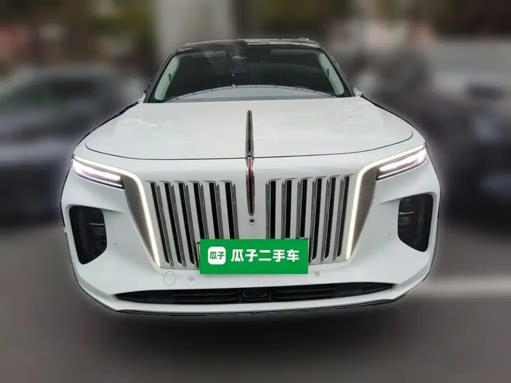 Hongqi E-HS9 — фото 2